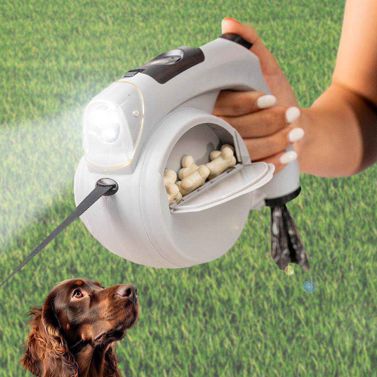 Laisse de chien rétractable 6 en 1 Leashic InnovaGoods